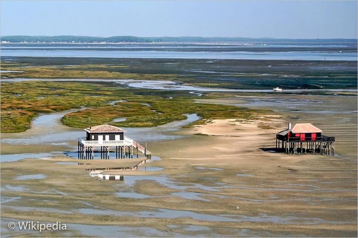 Beautiful Louisiana Villa Sleeps 6 With Pool ميوس المظهر الخارجي الصورة